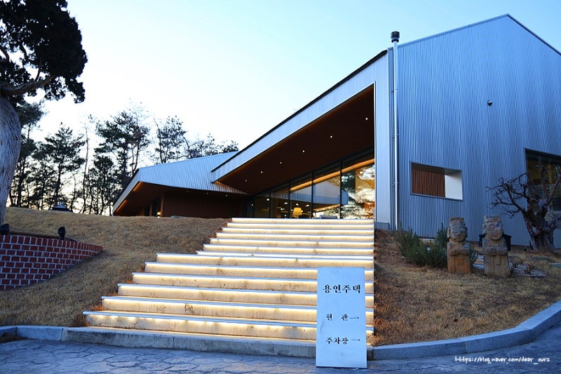 사진 3