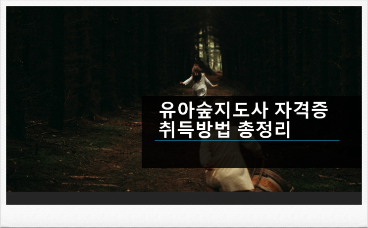  유아숲지도사 자격증 취득방법 총정리 양성과정 교육기관 기간 비용까지