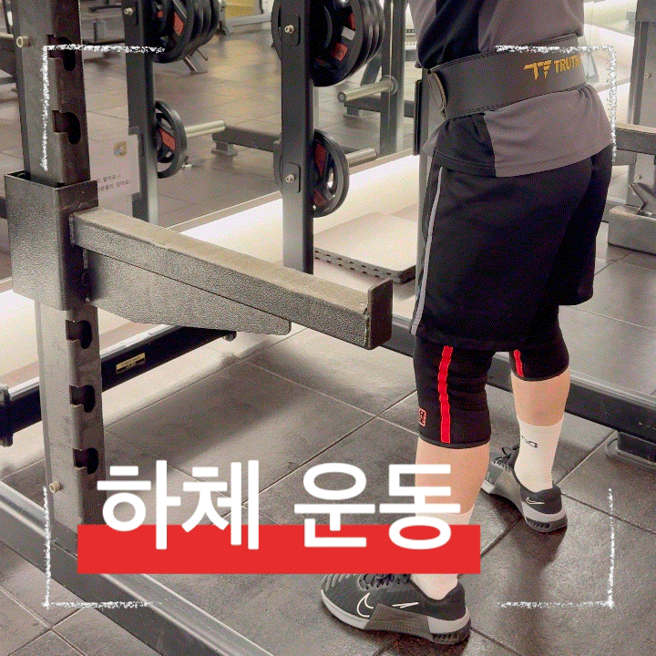  왜 하체운동을 해야 할까? 스쿼트 제대로 하는 법 총정리
