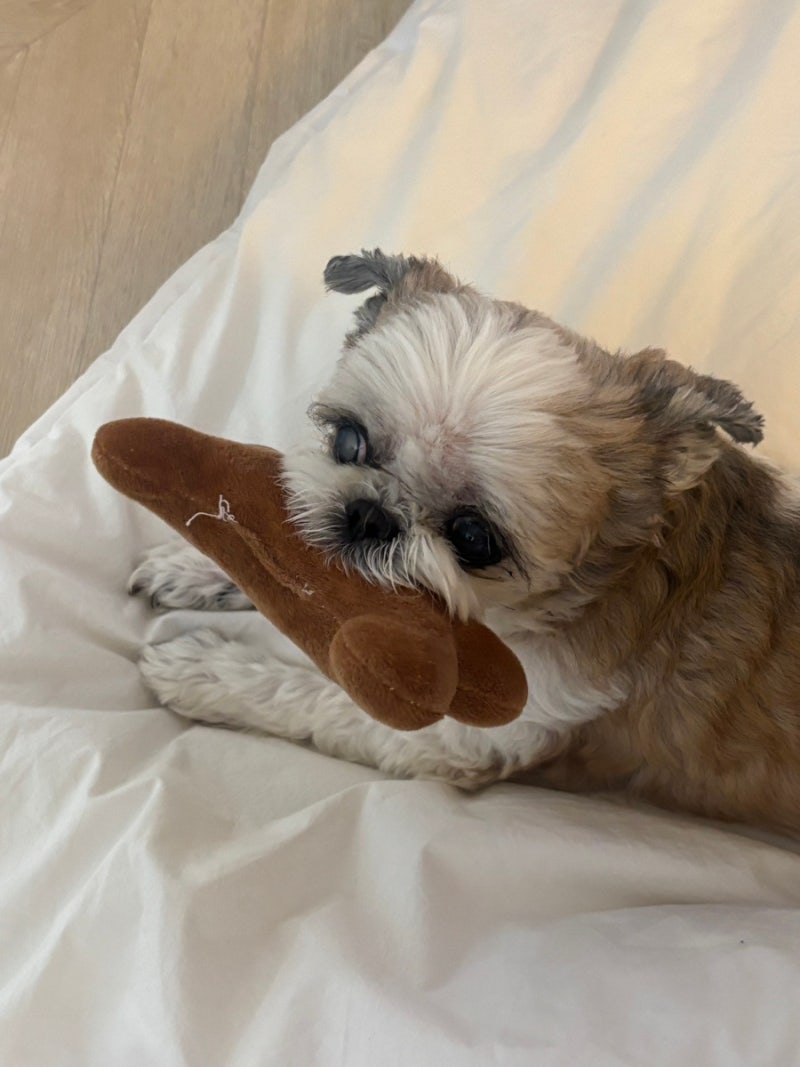 바크바