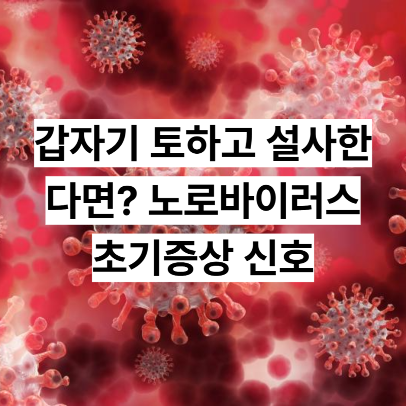갑자기 토하고 설사한다면? 노로바이러스 초기증상 신호