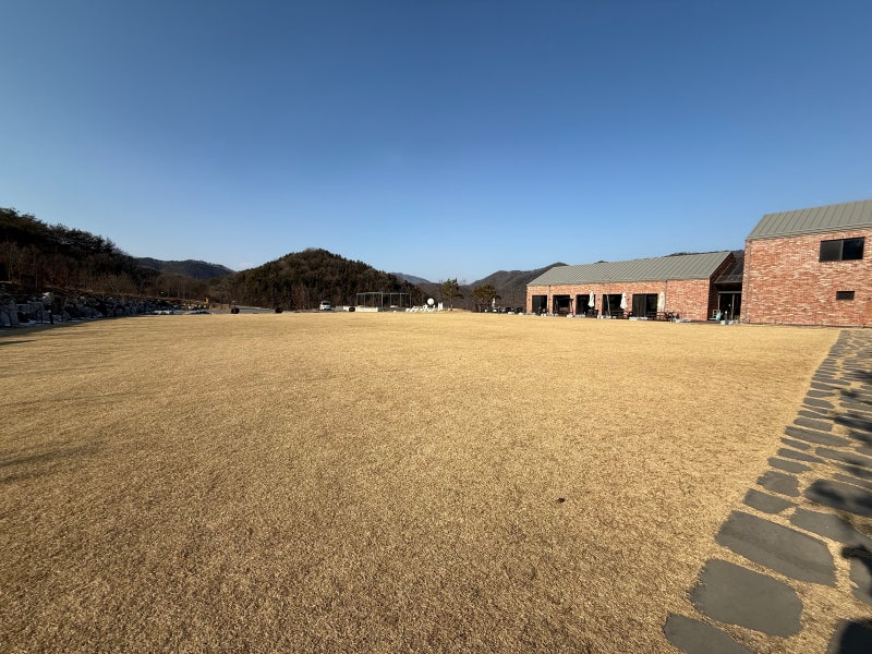 사진 3