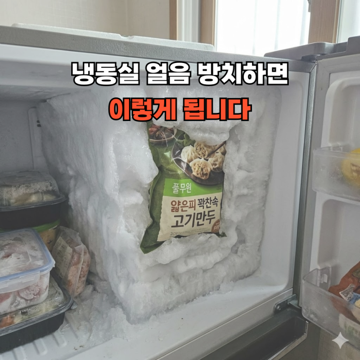  냉동실 성에 제거 방법, 드라이어 쓰기 전에 이 글부터 꼭 보세요!