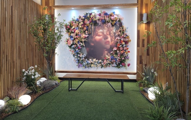 피노펠리즈 사진 5