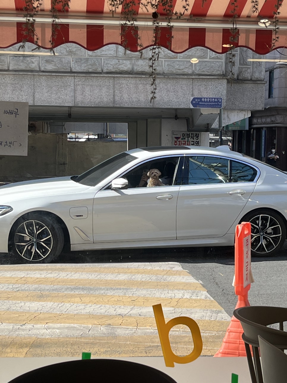 스윗디디 사진 4