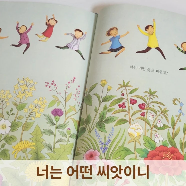  너는 어떤 씨앗이니 그림책 후기, 최숙희 작가님