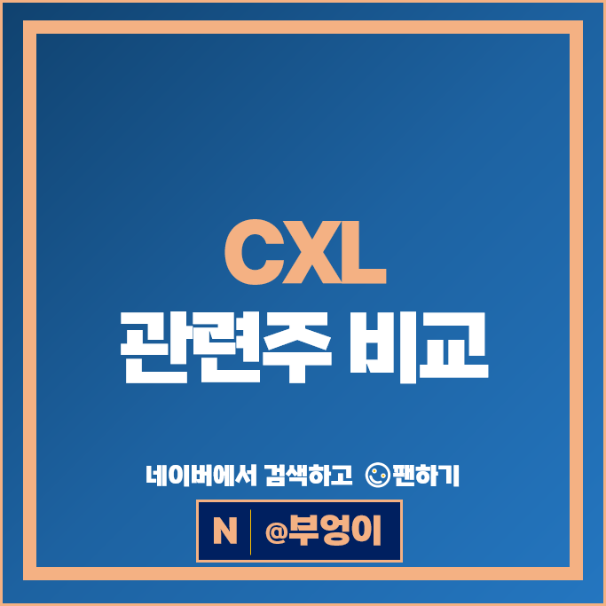 CXL 관련주 SK하이닉스 삼성전자 주가 파두 네오셈 주식