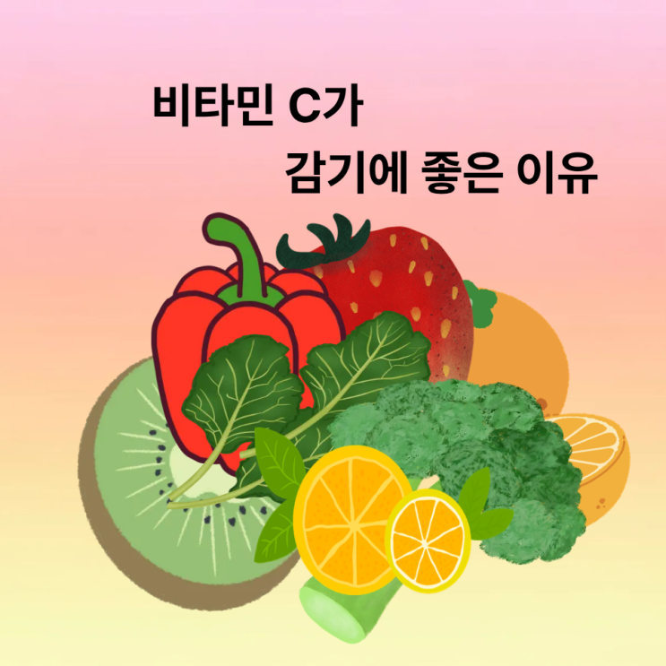  청주 면역력 200% 올리는 비타민C 음식 BEST 5