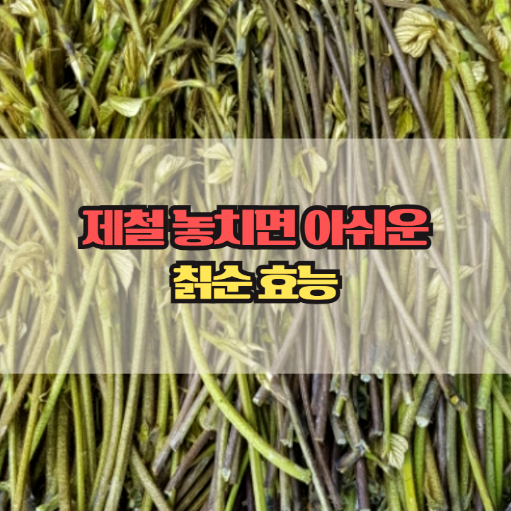  제철 놓치면 아쉬운 칡순, 효능은 생각보다 다양해요