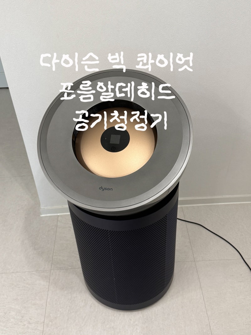 다이슨 빅 콰이엇 포름알데히드 공기청정기 매장 구입 주요 특징 사용 후기