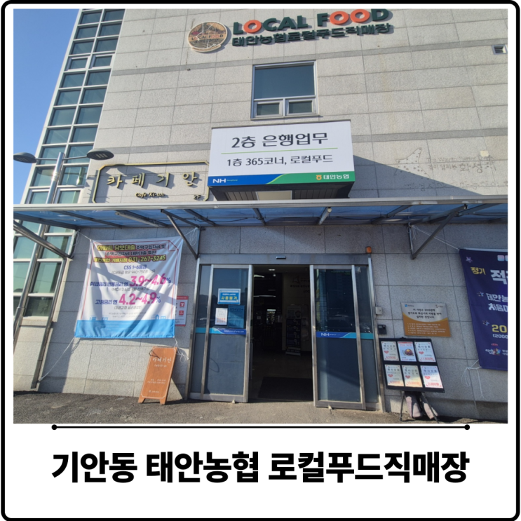  봉담 기안동 마트 추천 태안농협 로컬푸드직매장 (내돈내산 솔직 후기)