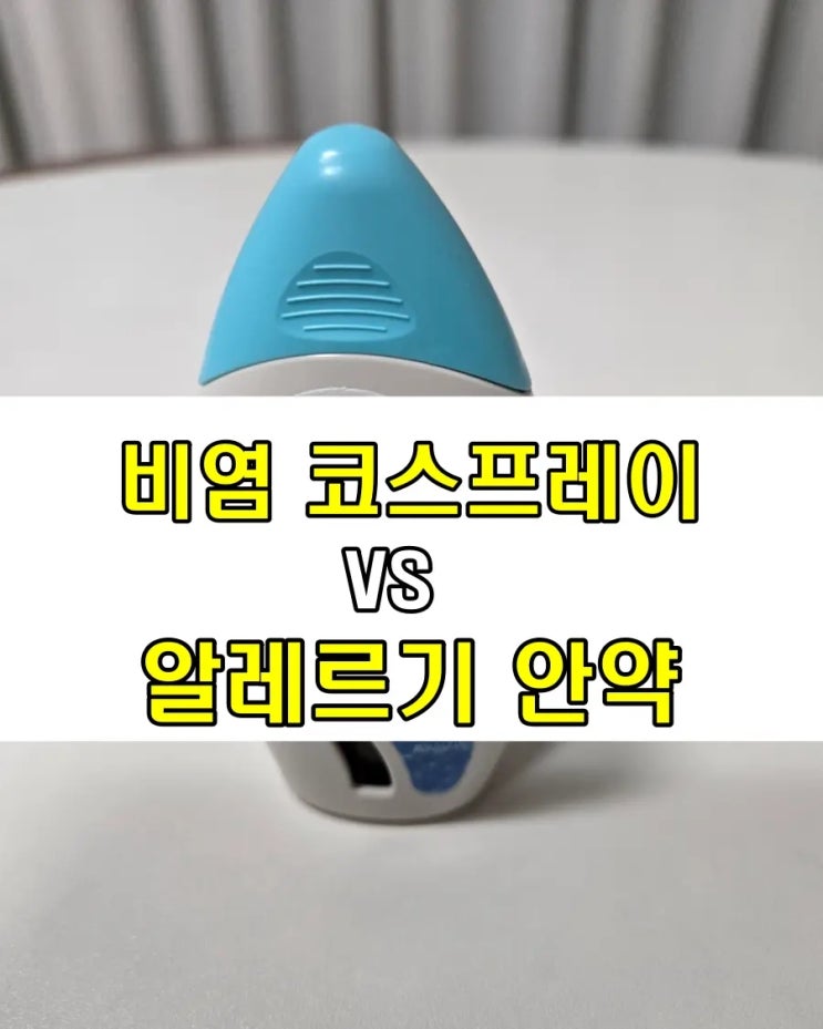  비염 코 스프레이 vs  알레르기 안약, 코막힘·눈 가려움 3가지 상황 뭐부터 쓸까?