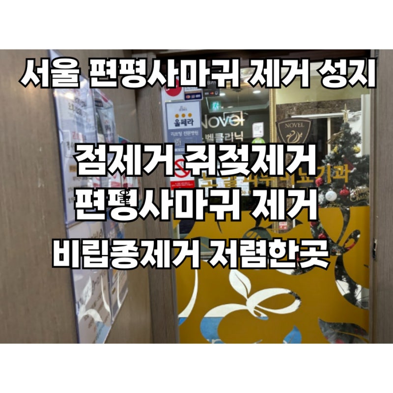 서울 편평사마귀성지 1100원 편평사마귀제거 쥐젖제거 점제거 신촌 노벨의원
