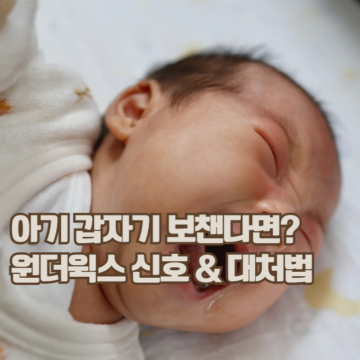  원더윅스란? 아기 성장 급변기 시기와 신호 정리