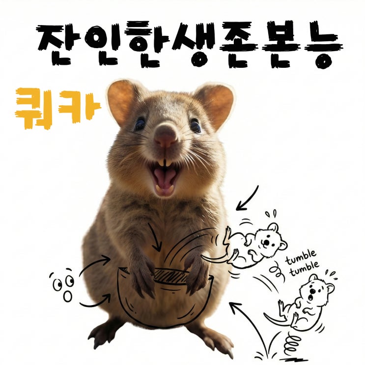  웃는 얼굴 뒤에 숨겨진 쿼카의 생존 본능, 배신인가 전략인가
