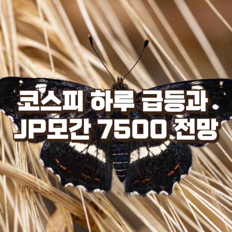  코스피 하루 급등과 JP모간 7500 전망...이러다 진짜 날아가는 걸까, 아니면 과열의 신호일까