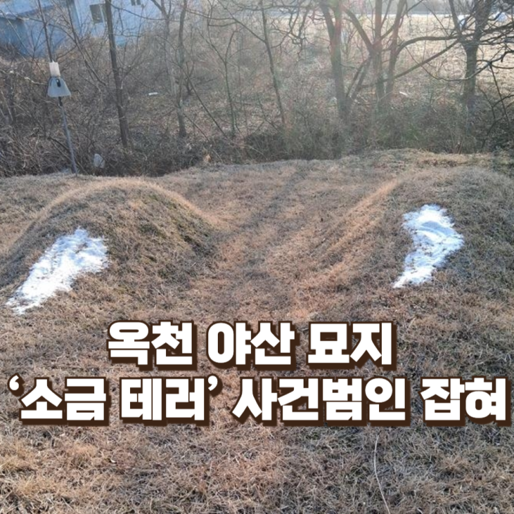  “새가 길을 인도했다” 옥천 야산 묘지 ‘소금 테러’ 사건범인 잡혀