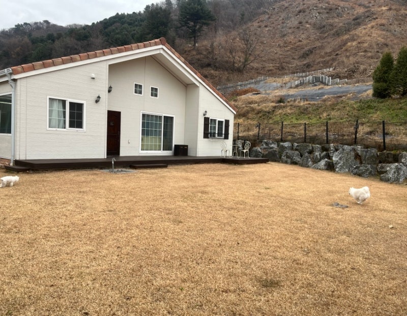 사진 2