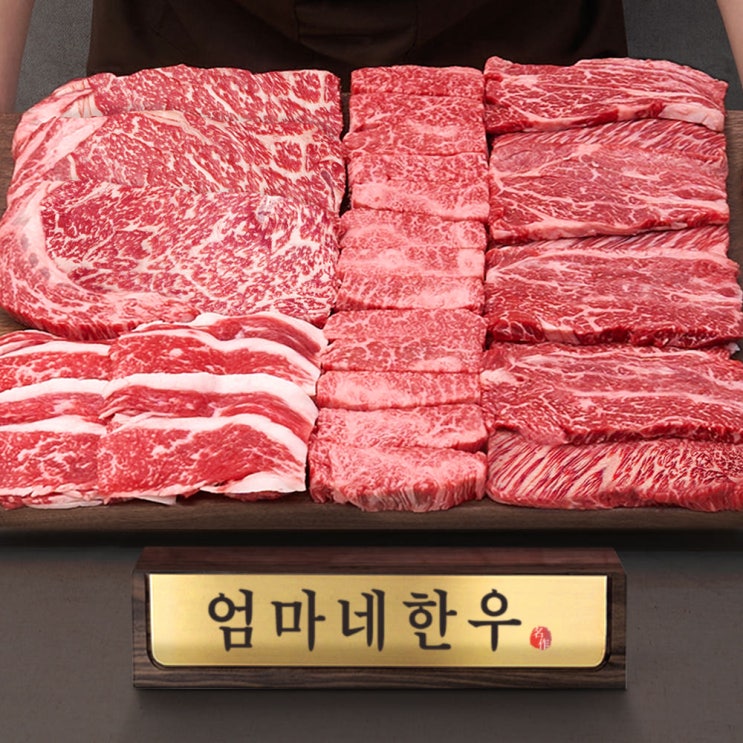  ++1등급 투뿔 한우선물세트 소고기 1.2kg 추석 설 명절 한라명작 리뷰 - 가격 대비 검토