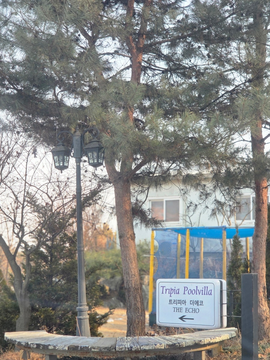 트리피아 풀빌라 사진 5