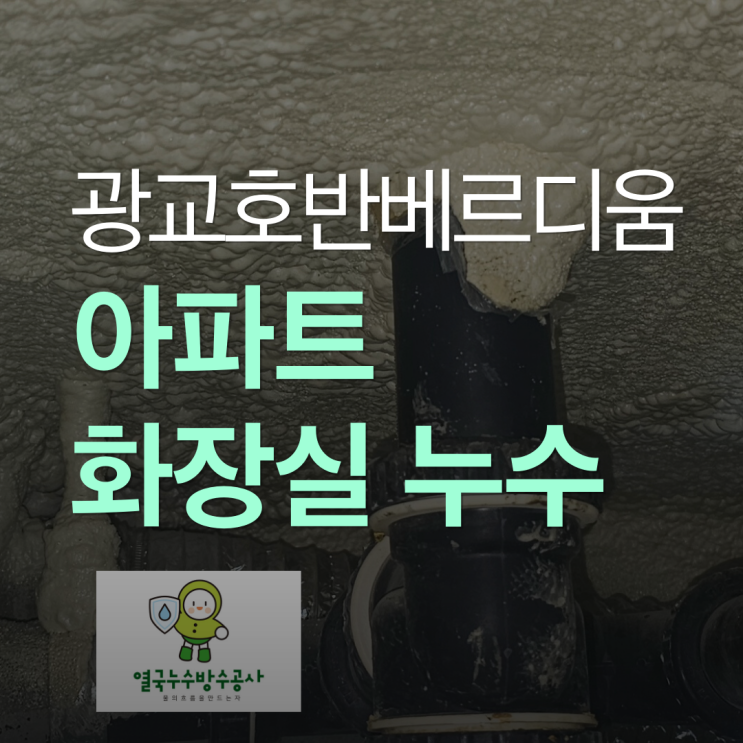  수원 화장실 누수 광교호반베르디움 아파트 전등까지 고장 물샘 원인 당일 해결