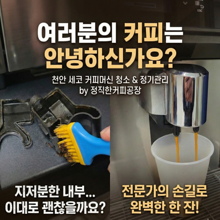  천안 세코 커피머신청소 정기관리로 위생관리