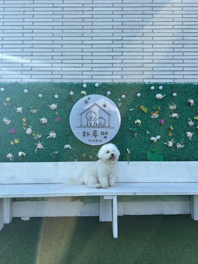 사진 5