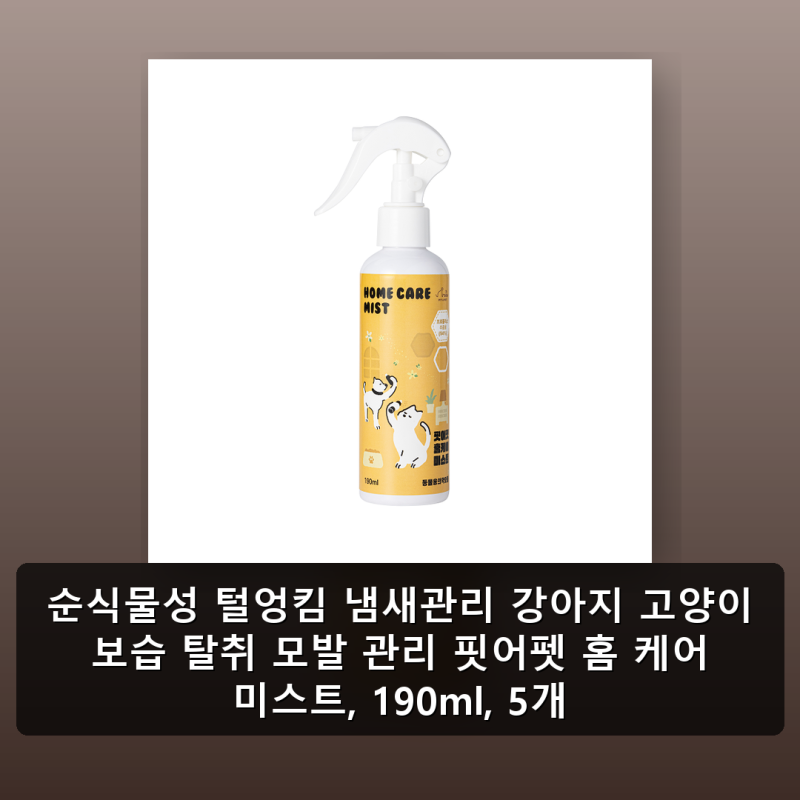 사진 7