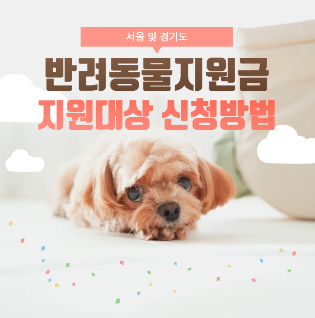  2026 반려동물 지원금 서울 경기 지급 대상 총정리