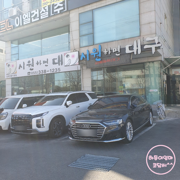 시원하면대구 사진 2