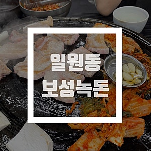 일원동 맛의거리 삼겹살 맛집 보성녹돈(주차장/메뉴판/위치)