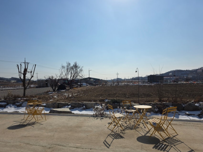 노랑나랑 사진 4