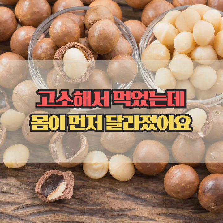  고소해서 먹었는데, 몸이 먼저반응한 마카다미아 효능