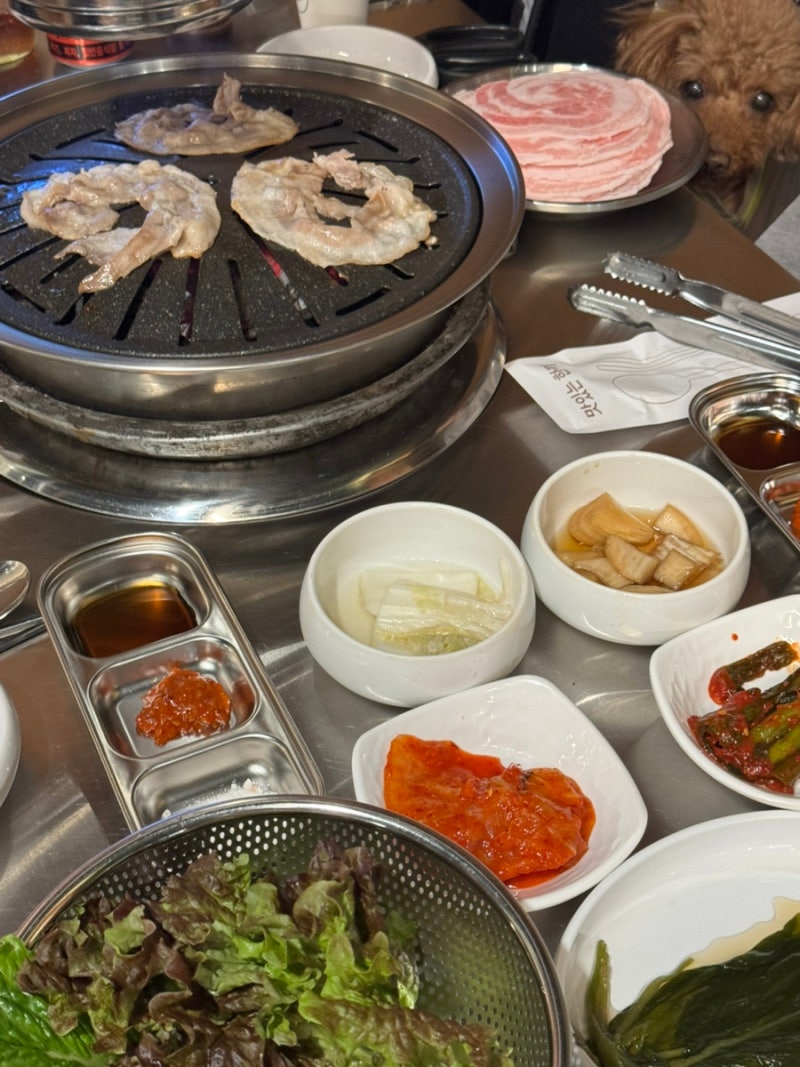 사진 4