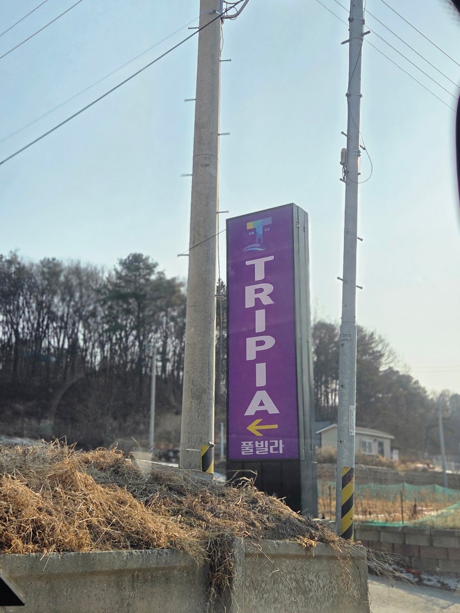 트리피아 풀빌라 사진 3
