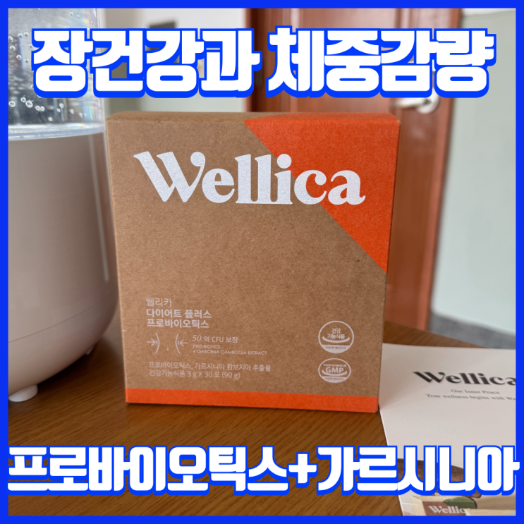  장 건강 프로바이오틱스와 체중관리 가르시니아의 콜라보 웰리카 유산균