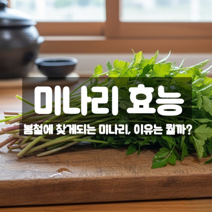  미나리 효능 부작용 먹는법 - 봄 제철 채소로 사랑받는 이유