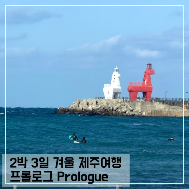  20년지기 친구들과 2박 3일 겨울 제주도 여행 프롤로그 feat. 완벽했던 서귀포 여행코스