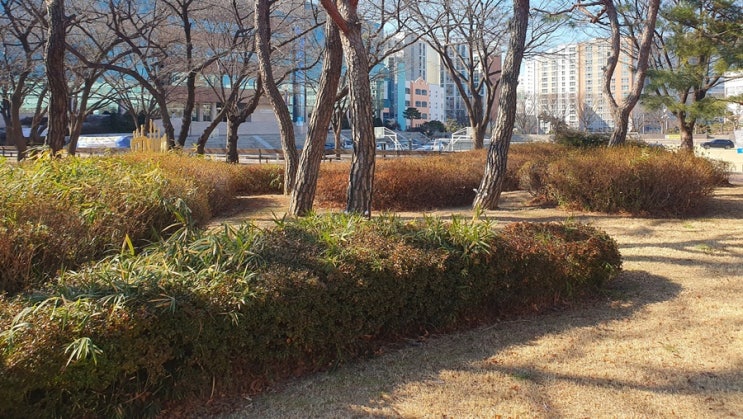  경부고속도로 휴게소 하행 맛집 총정리