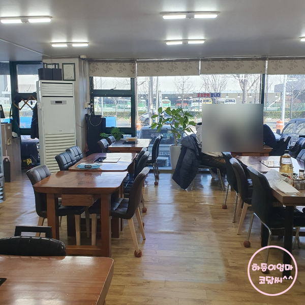 시원하면대구 사진 4