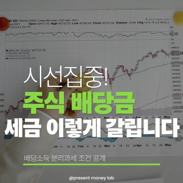  배당금, 많이 받으면 오히려 불리해질 수 있습니다. (분리과세 대상은 따로 있습니다.)