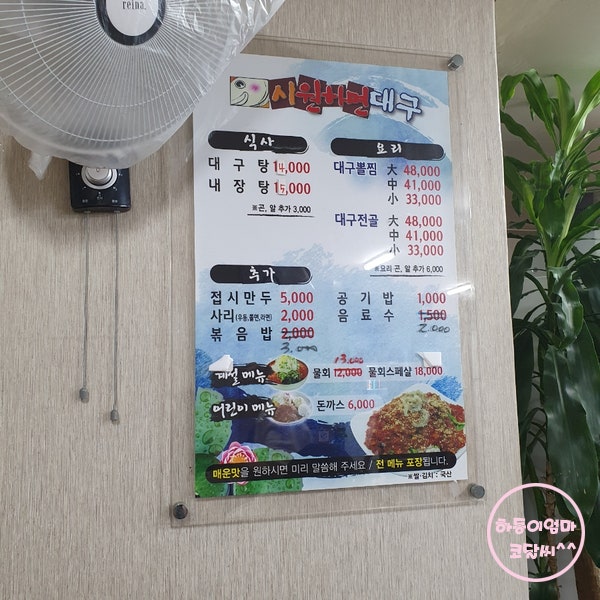 시원하면대구 사진 6
