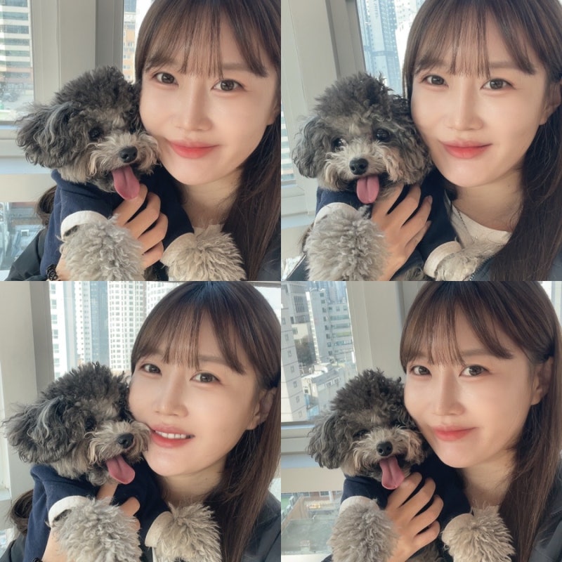 왈왈랜드