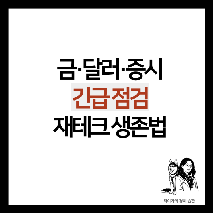  케빈 워시 등판과 환율 1,460원대, 금 시세 요동치는 지금 꼭 알아야 할 우리집 가계부 재테크 생존 가이드
