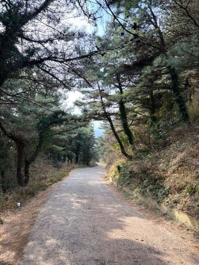 사진 6