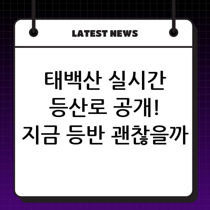 태백산 CCTV로 실시간 등산로 상황 확인, 안전 등반 가능할까? 등산객 생생 후기!