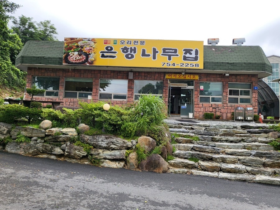 은행나무집 사진 1