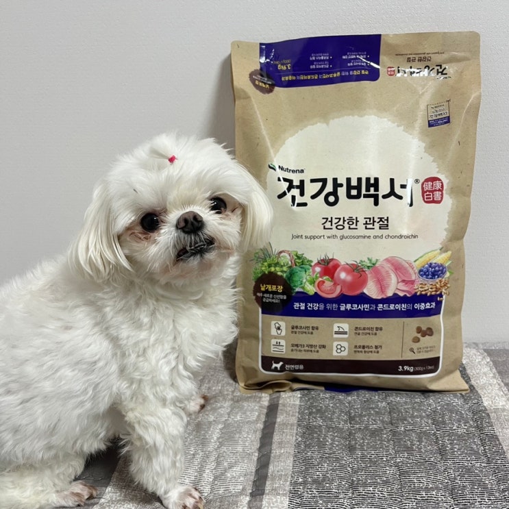  강아지관절사료 우면동물병원 도레미펫 처방사료 건강백서 추천