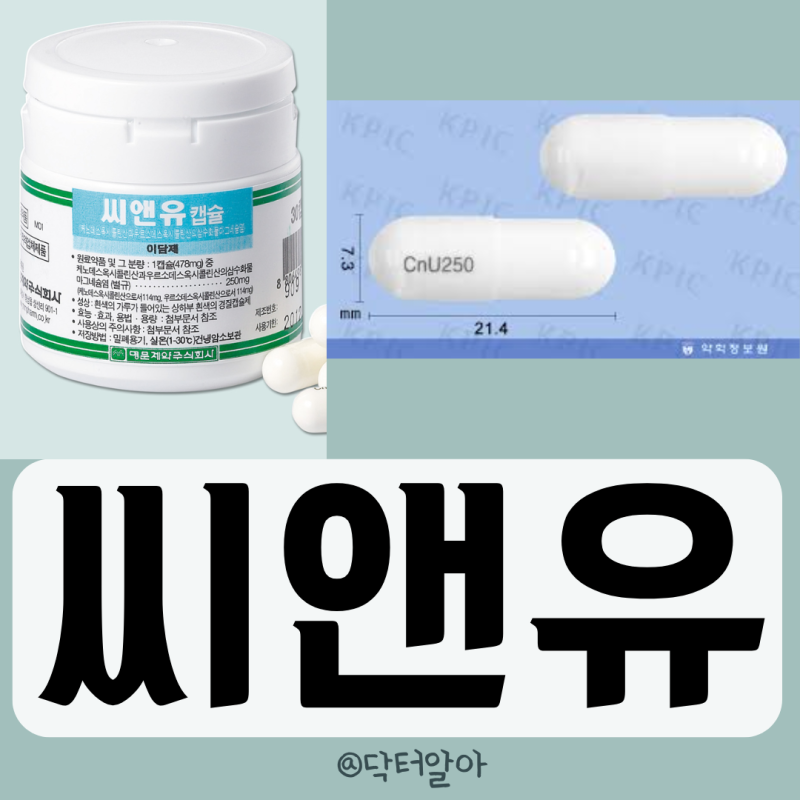 의사가 설명하는 씨앤유캡슐 효능 성분 부작용 복용법 가격 장점