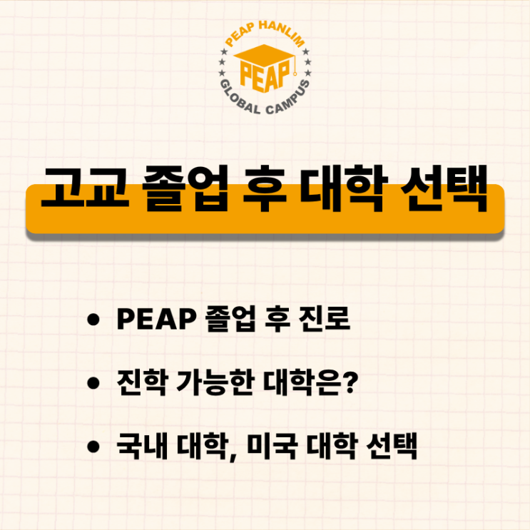  미국 VS 국내 대학 선택 기준 I PEAP 졸업 후 진학 가능한 대학 정리